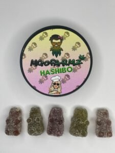 Hashibo Bears