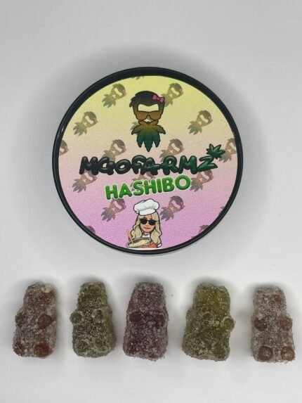 Hashibo Bears